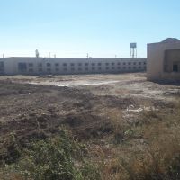 مرغداری و مزرعه بوقلمون در تاکستان استان قزوین