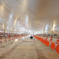 مرغداری ۵۰.۰۰۰ تایی فول اتومات