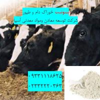 فروش بنتونیت ویژه تهیه خوراک دام و طیور