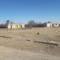 فروش مرغداری(بوغلمون) در تاکستان