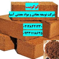 فروش ویژه کوکوپیت