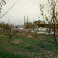 فروش 7000مترگاوداری در کرج