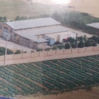 فروش کارخانه لبنیات در خرم آباد