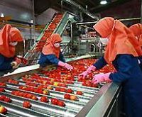 فروش کارخانه تولید رب گوجه فرنگی در تهران