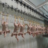 سازنده خط کشتار استیلا تهران