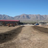 فروش کارخانه تولید کود کمپوست