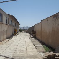 کارخانه خشکبار و سبزه پاکنی