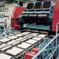 فروش دستگاه شانه تخم مرغ زن اتوماتیک - تبریز