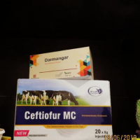 بسته بندی انواع محصولات تولیدی،وارداتی و صادراتی