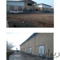 فروش کارخانه قارچ با وام و سند شش دانگ در تهران