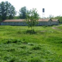 فروش مرغداری گوشتی 15000قطعه ای در شمال(گیلان- لنگرود – چمخاله )