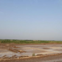 فروش 71 هزار متر زمین در آبادان