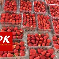 دستگاه سورت و بسته بندی میوه و سبزیجات تازه