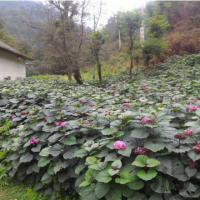 فروش عمده آب معدنی