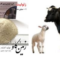 اثر زئولیت در شکمبه نوشخوارکنندگان (Zeolite