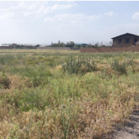 فروش 741 متر زمین در همدان