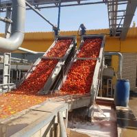 فروش کارخانه رب گوجه در خوزستان