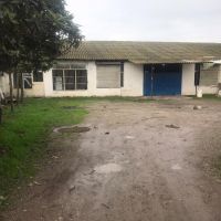 فروش کارخانه شالیکوبی شمال