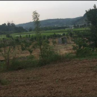 فروش ٢٧٠٠متر باغ و زمین برای تالار در قایمشهر