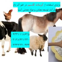 مزایای استفاده از کربنات کلسیم در خوراک دام وطیور
