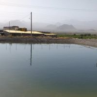 فروش کارخانه قارچ در کاشان