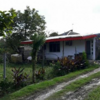 معاوضه یا فروش 4878 متر دامداری در شفت