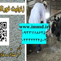 فروش زئولیت مکمل غذایی دام