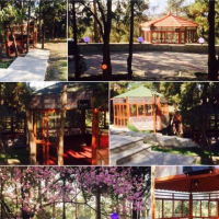 نیازفوری سرمایه گذار برای رستوران در تهران