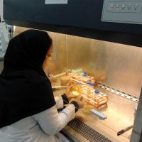 تجهیز آزمایشگاه تولید ساندویچ سرد-لقمان پژوهش