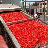 فروش ماشین آلات خط تولید رب گوجه و سس در تهران