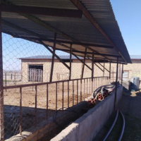 فروش 10000 متر دامداری در قوچان