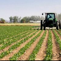 فروش گاوداری ٢٢ هکتاری سنددار در هشتگرد