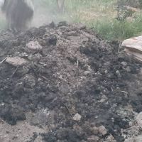 فروش کودهای شیمیایی و حیوانی