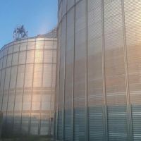 فروش سیلوی گندم با مجوز آرد