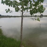 فروش استخر پرورش ماهی فومن استان گیلان