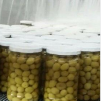 فروش کارخانه خیارشور و زیتون شور در شهرک صنعتی مرودشت