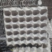 شانه تخم مرغ مقوایی