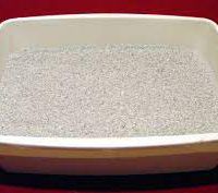 پخش خاک گربه