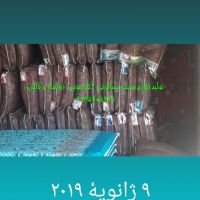 تولید فروش تشک مسافرتی آکاردئونی زیرانداز  بالش