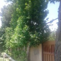 فروش باغ ویلا فلاورجان اصفهان