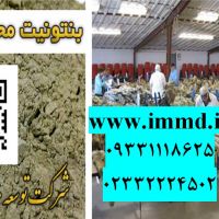 فرو ش بنتونیت محافظت از چرم