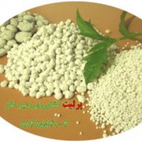 پرلیت و مزایای آن در کشاورزی Perlite