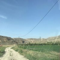 فروش دامداری-زمین کشاورزی-باغ در تهران