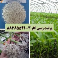 مزیت استفاده از پرلیت در کشاورزی و باغبانی Perlite