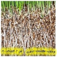 ورمیکولیت(Vermiculite) و تاثیر آن بر کشاورزی