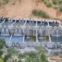 فروش پرورش ماهی در فارس