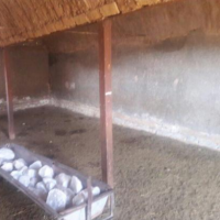 فروش 3000 متر دامداری در شریف آباد تهران