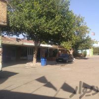 فروش دامداری بروز قزوین