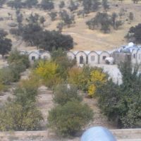 فروش مرغداری در اصفهان