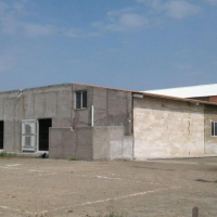 فروش کارخانه قارچ در تهران